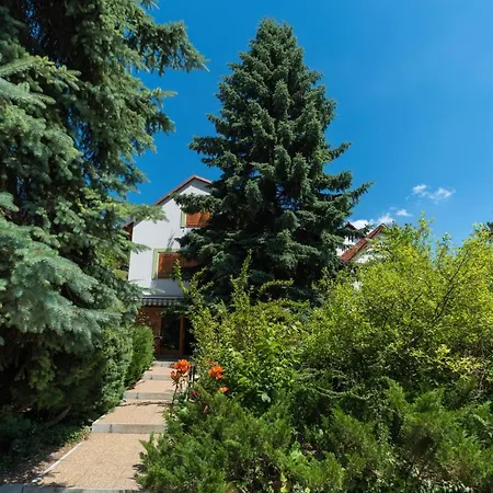 Soos Balaton Балатондьёрёк
