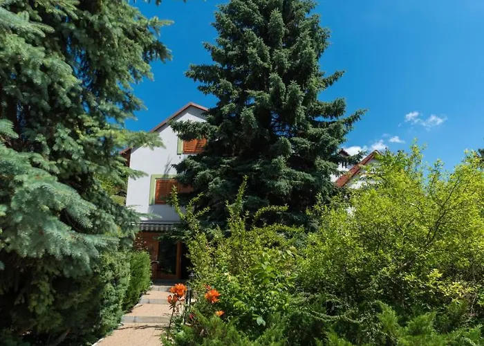 Soos Balaton Balatongyorok